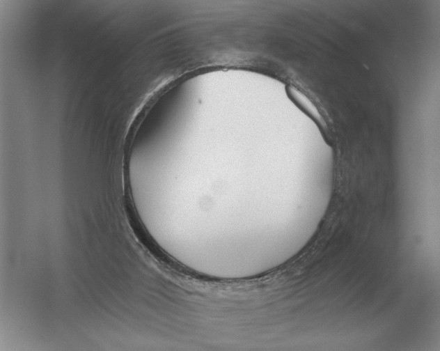 X0000052980011200508051053