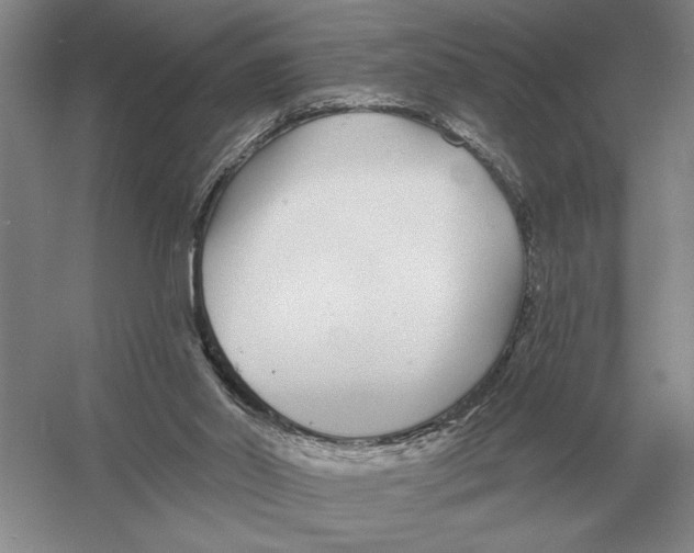 X0000052980014200508051053