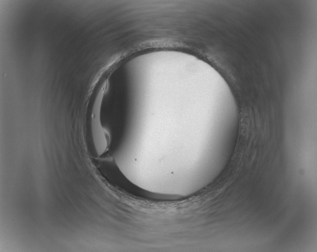 X0000052980015200508051053