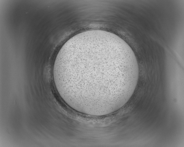 X0000052980016200508051053