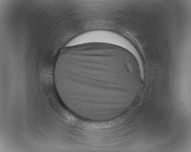 X0000052980017200508051053