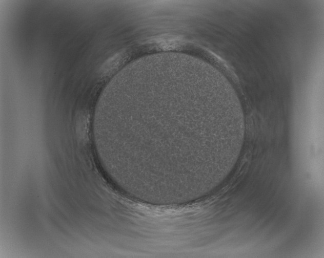 X0000052980018200508051053