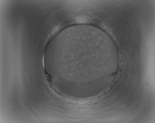 X0000052980019200508051053