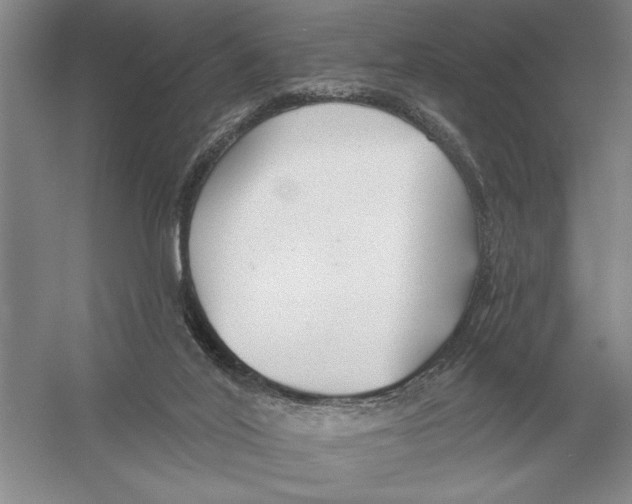 X0000052980020200508051053