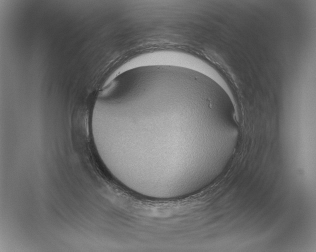 X0000052980021200508051053