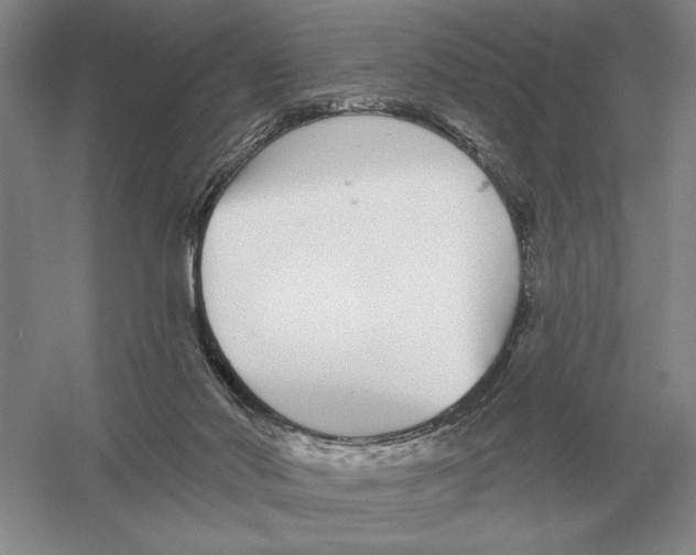 X0000052980022200508051053