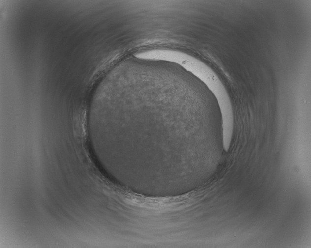 X0000052980023200508051053