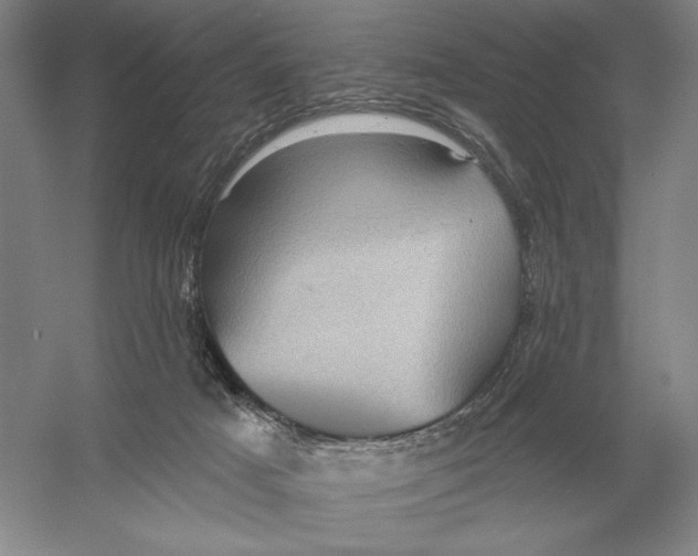 X0000052980025200508051053