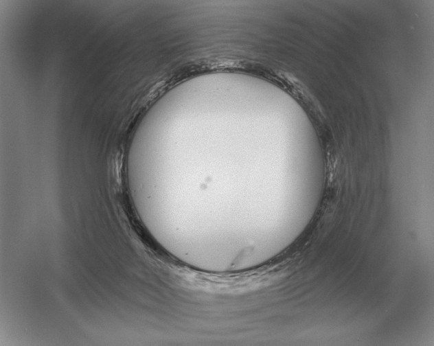 X0000052980026200508051053