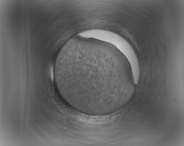 X0000052980027200508051052