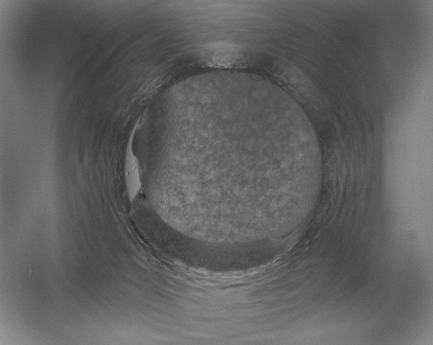 X0000052980031200508051052