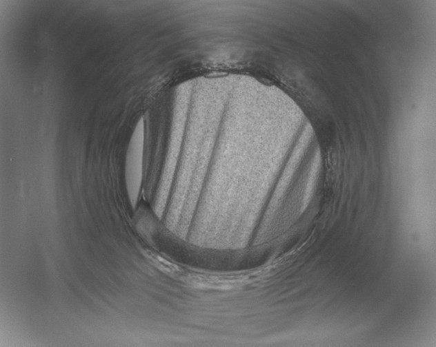 X0000052980033200508051052