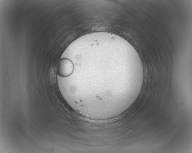 X0000052980034200508051052