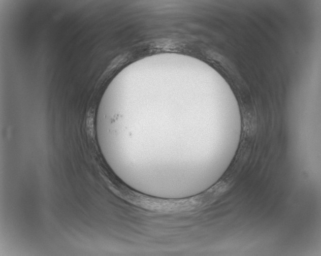 X0000052980036200508051052