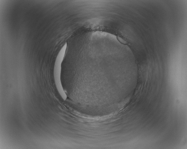 X0000052980039200508051052