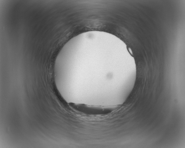 X0000052980040200508051052