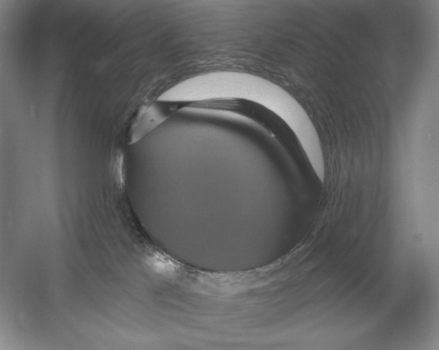 X0000052980041200508051052