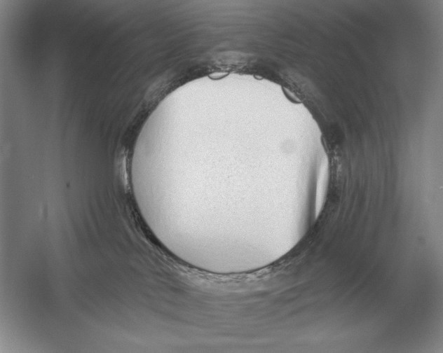 X0000052980042200508051052