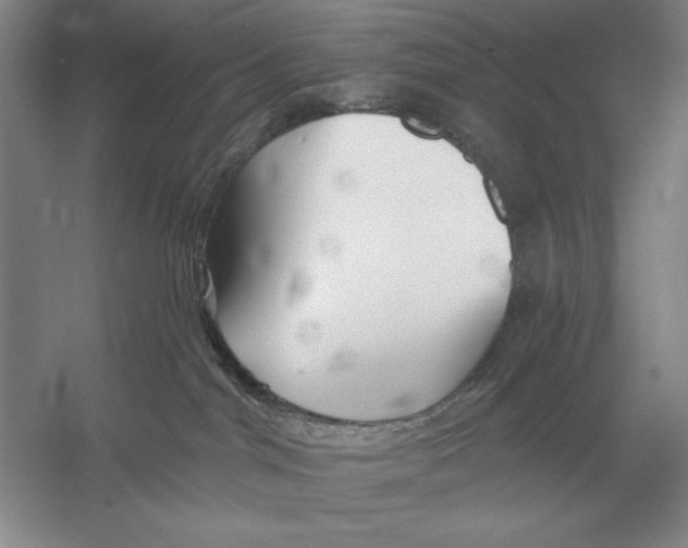 X0000052980044200508051052