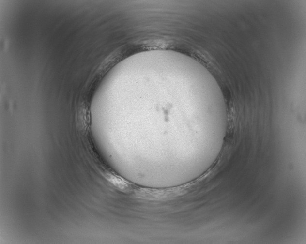 X0000052980045200508051052