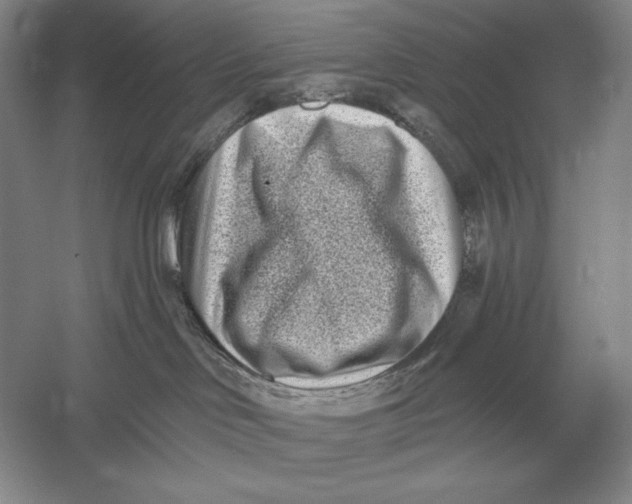 X0000052980046200508051052