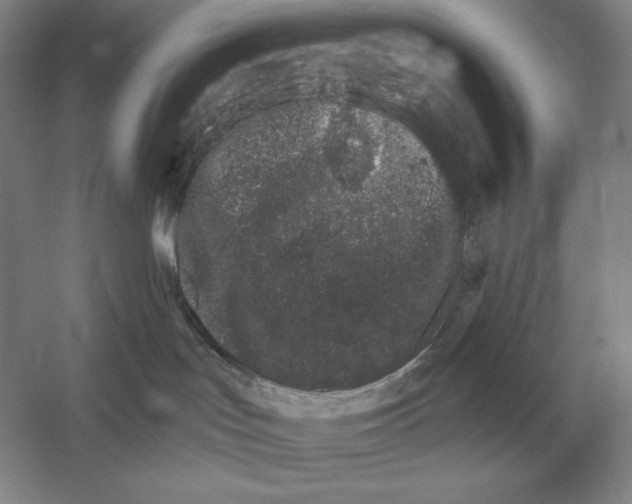 X0000052980047200508051052