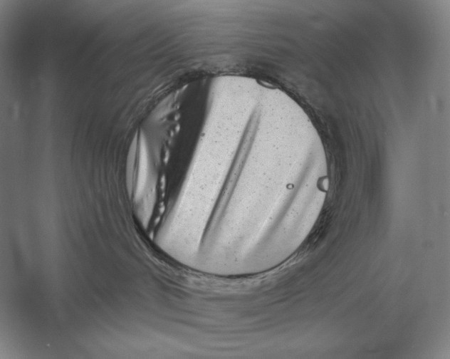 X0000052980048200508051052