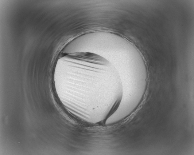 X0000052980049200508051051