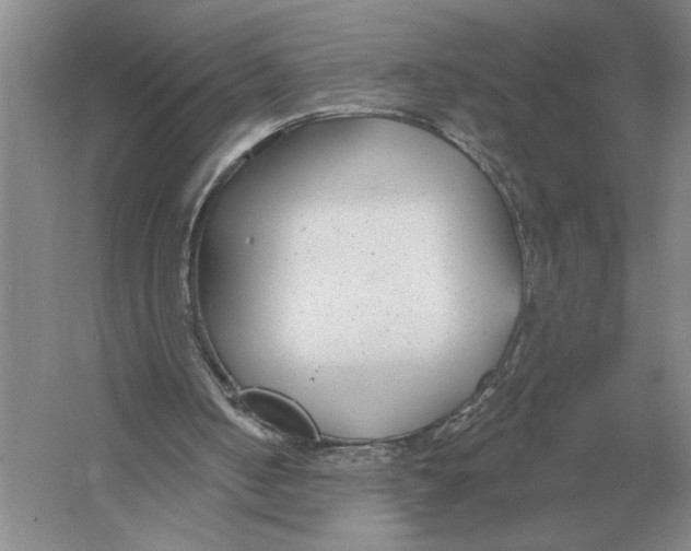 X0000052980050200508051051