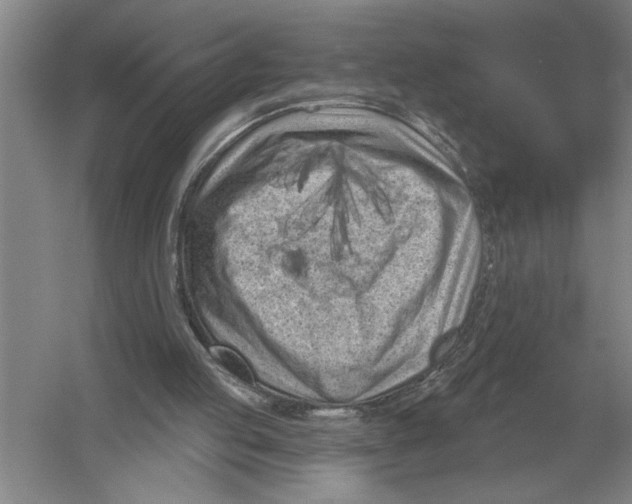 X0000052980053200508051051