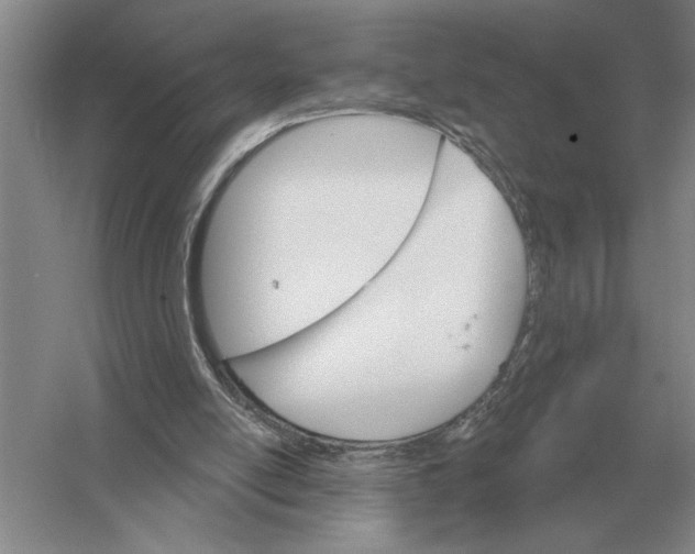 X0000052980054200508051051