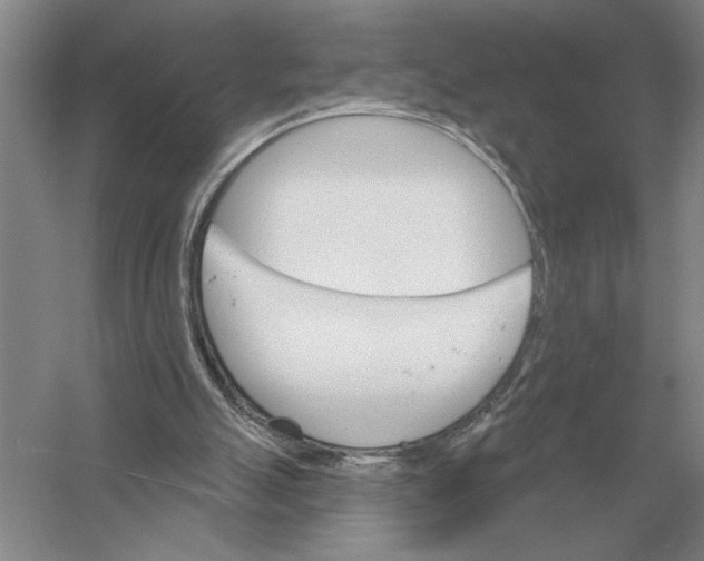 X0000052980055200508051051