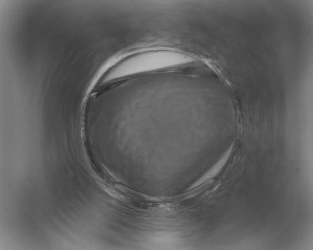 X0000052980056200508051051