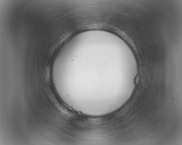 X0000052980057200508051051