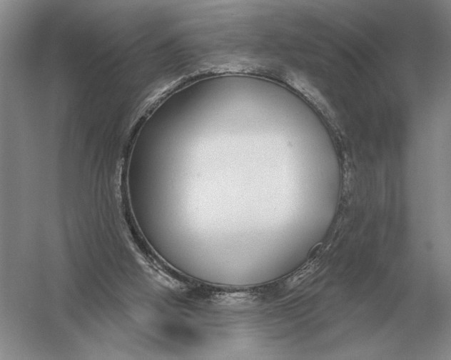 X0000052980058200508051051