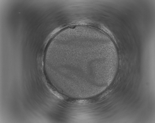 X0000052980059200508051051