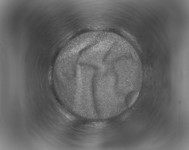 X0000052980065200508051052