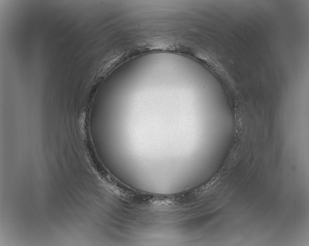 X0000052980066200508051052