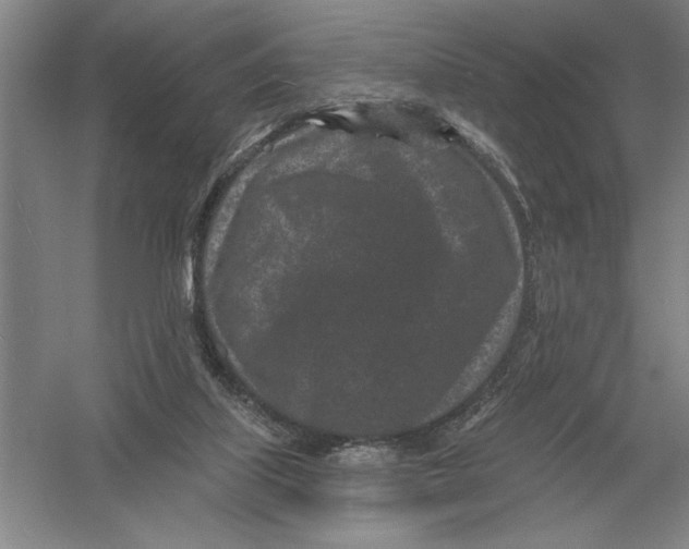 X0000052980067200508051052