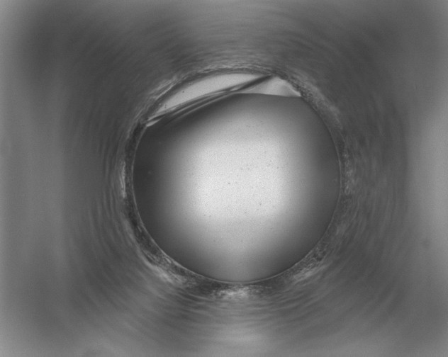 X0000052980068200508051052