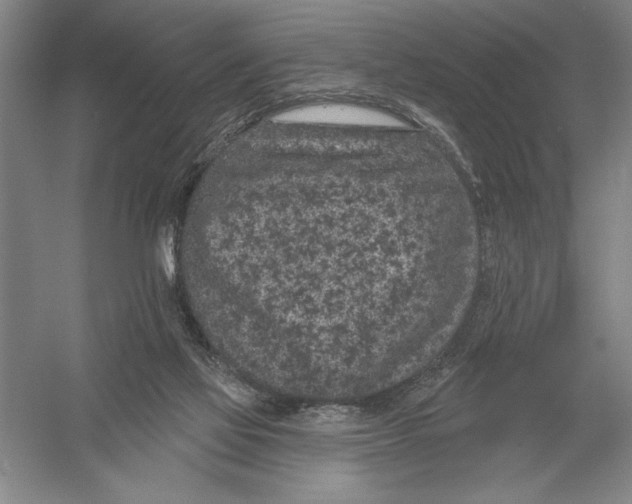 X0000052980069200508051052