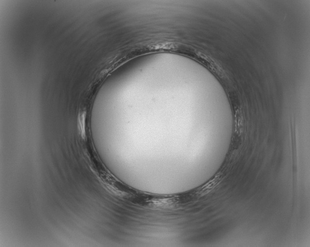 X0000052980070200508051052