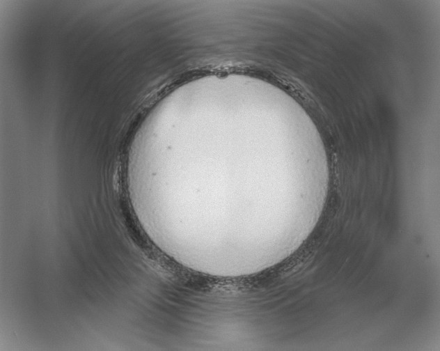 X0000052980071200508051052