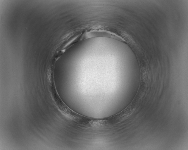 X0000052980072200508051052