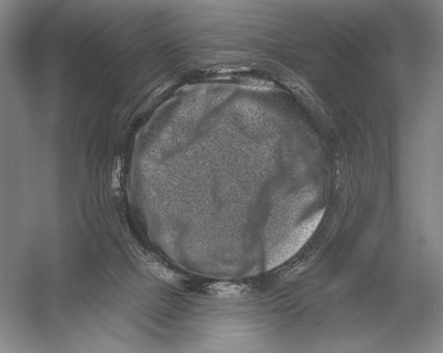 X0000052980073200508051052