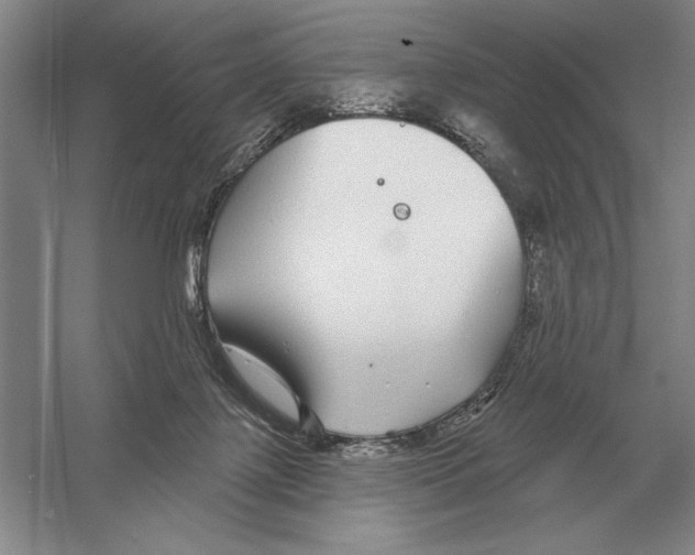 X0000052980075200508051052