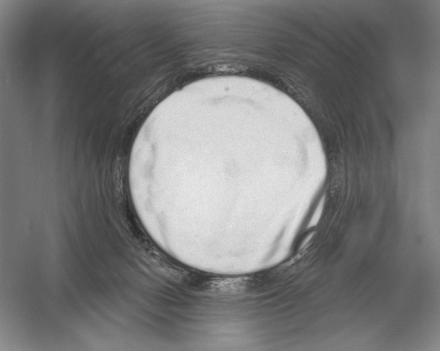 X0000052980078200508051052