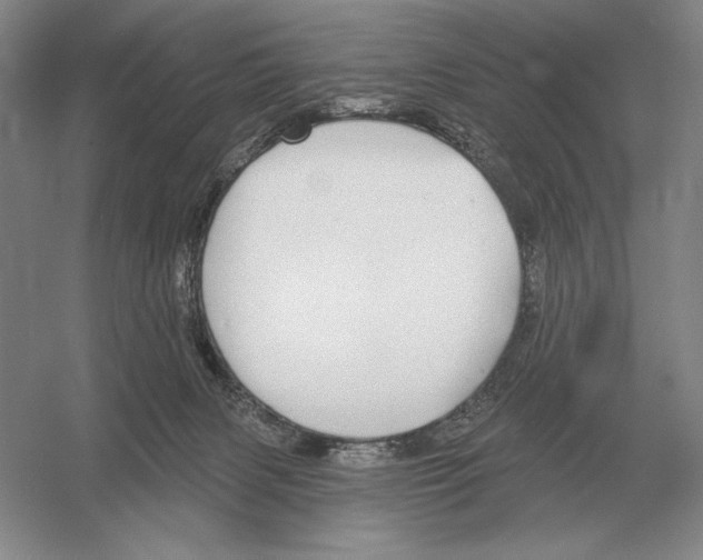 X0000052980079200508051052