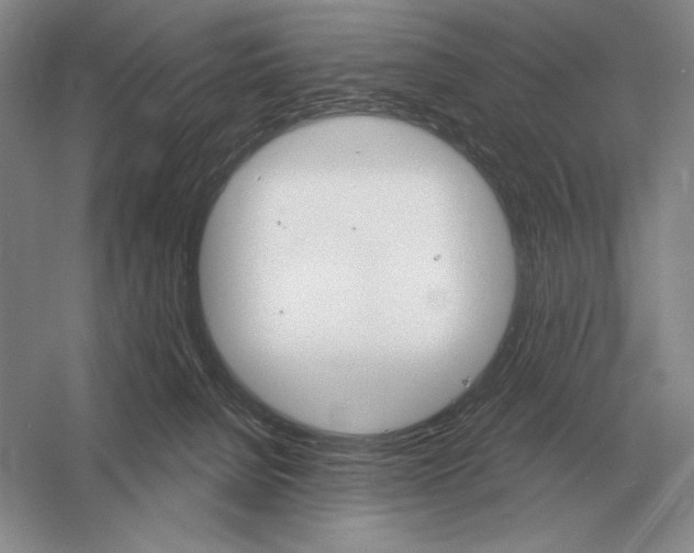 X0000052980080200508051052