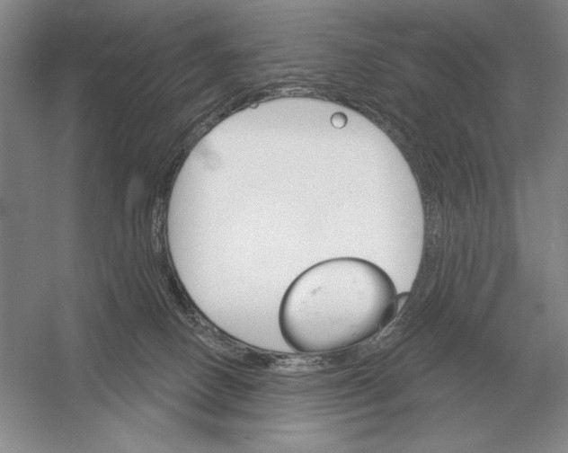 X0000052980082200508051052